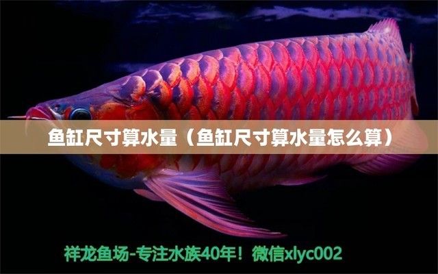 魚(yú)缸里的綠銹怎么清理(怎么除魚(yú)缸里的綠色)