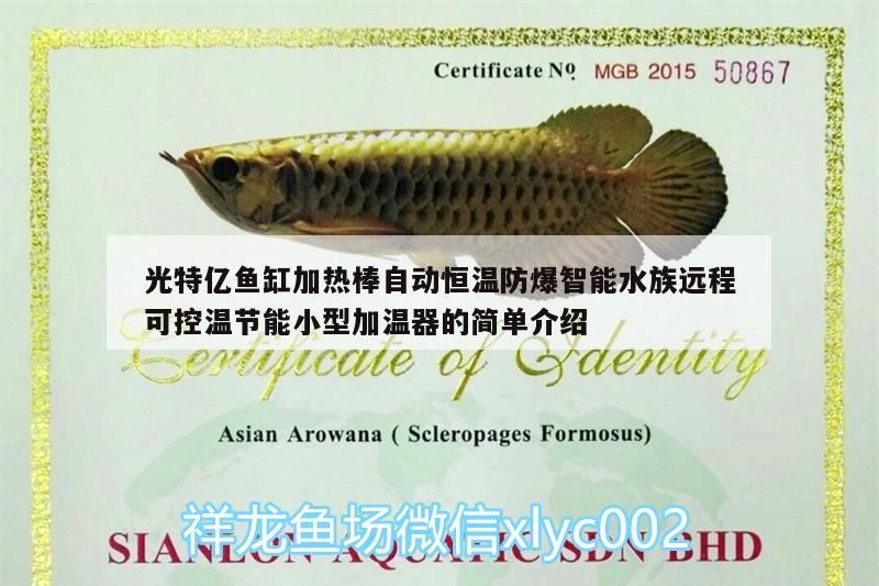 光特億魚缸加熱棒自動恒溫防爆智能水族遠程可控溫節能小型加溫器的簡單介紹