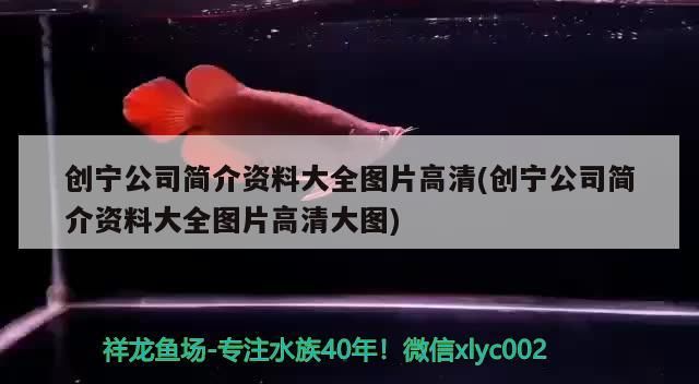 創寧公司簡介資料大全圖片高清(創寧公司簡介資料大全圖片高清大圖)