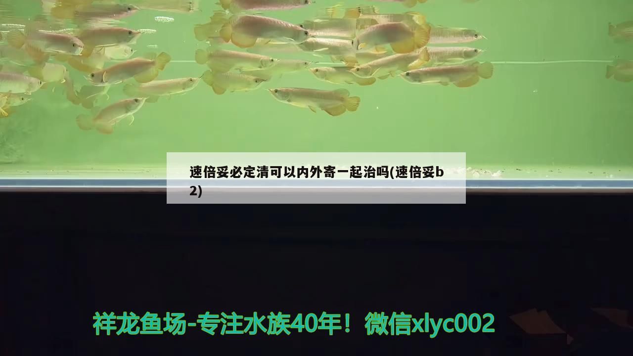 速倍妥必定清可以內(nèi)外寄一起治嗎(速倍妥b2) 速倍妥必定清可以內(nèi)外寄一起治嗎(速倍妥b2) 速倍妥