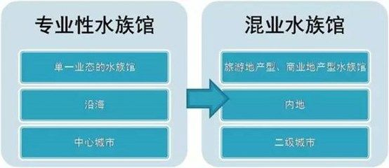 水族館盈利模式有哪些類型（上海水族館的盈利模式）