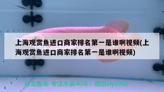 肥城賣魚缸的店鋪和電話是多少 肥城賣魚缸的店鋪和電話是多少啊