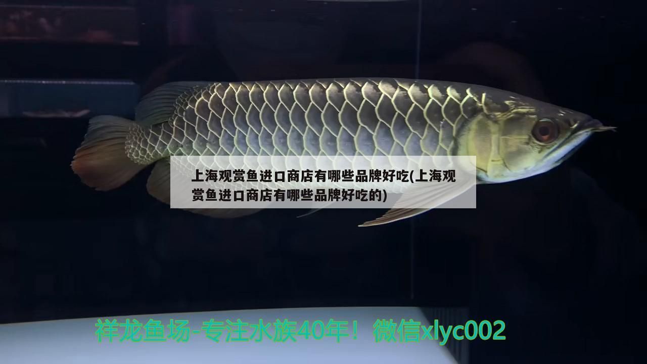 肥城賣魚缸的店鋪和電話是多少 肥城賣魚缸的店鋪和電話是多少啊 肥城賣魚缸的店鋪和電話是多少 肥城賣魚缸的店鋪和電話是多少啊 貝因美 第2張