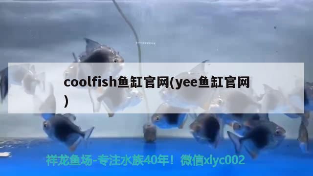 coolfish魚缸官網(wǎng)(yee魚缸官網(wǎng))