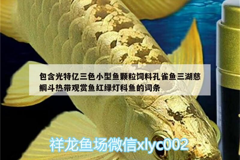 包含光特億三色小型魚顆粒飼料孔雀魚三湖慈鯛斗熱帶觀賞魚紅綠燈科魚的詞條