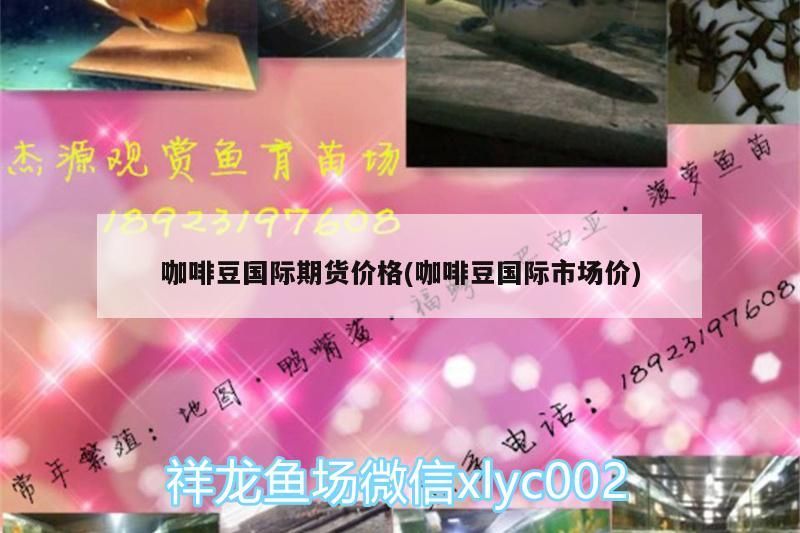 咖啡豆國際期貨價格(咖啡豆國際市場價)