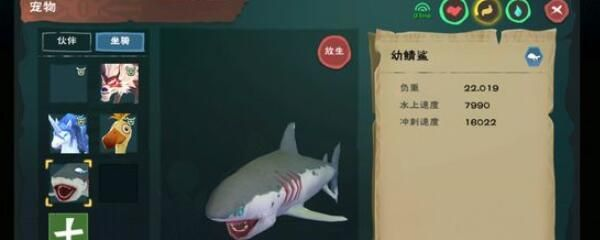 寵物鯊魚多少錢一只（寵物鯊魚價格大小和市場需求不同，寵物鯊魚價格因素有所不同）
