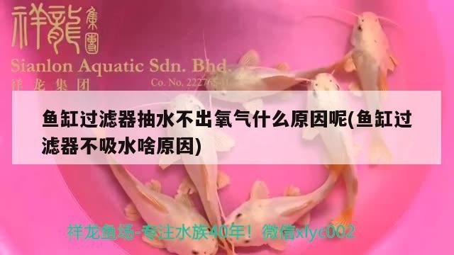 魚缸過濾器抽水不出氧氣什么原因呢(魚缸過濾器不吸水啥原因)