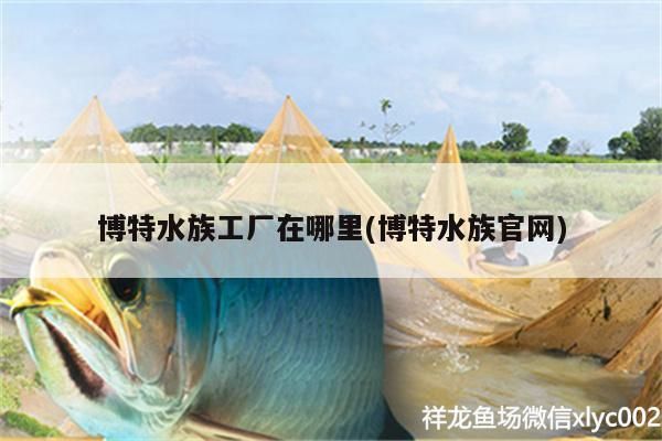 博特水族工廠在哪里(博特水族官網)