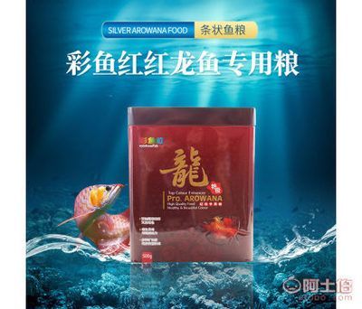 紅龍魚增色飼料配方表格：紅龍魚增色飼料的配方