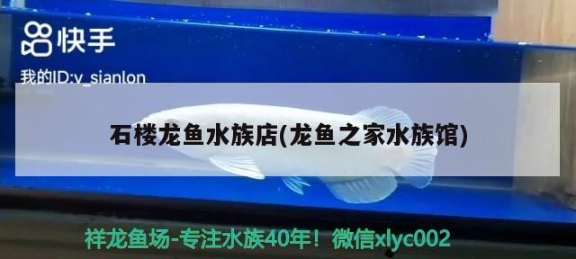 石樓龍魚水族店(龍魚之家水族館)