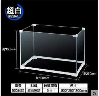 50魚缸是多大：50厘米的魚缸尺寸與50厘米的魚缸養殖注意事項及注意事項