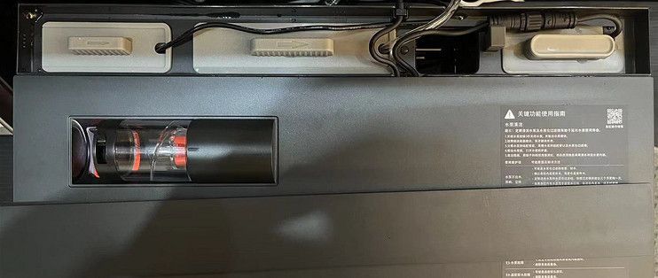 赤血紅龍魚好不好養（赤血紅龍魚好不好養活）