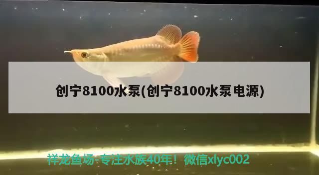 創(chuàng)寧8100水泵(創(chuàng)寧8100水泵電源)