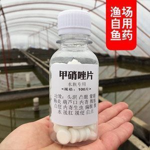 龍魚 甲硝唑vs祥龍魚場：甲硝唑與祥龍魚場的比較分析,甲硝唑使用注意事項