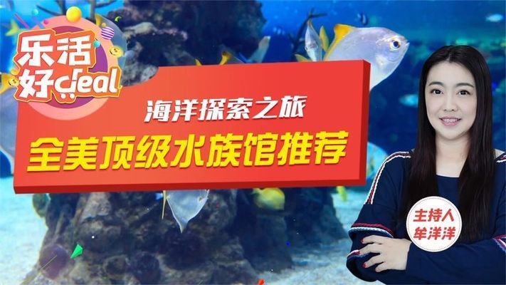 水族館開在什么地方合適一點:選擇合適的水族館開設地點 水族館百科(水族館加盟) 第1張 水族館開在什么地方合適一點:選擇合適的水族館開設地點 水族館開在什么地方合適一點:選擇合適的水族館開設地點 水族館百科(水族館加盟) 第1張