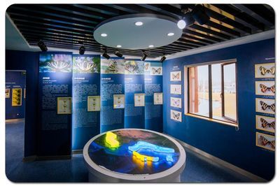水族館開在什么地方合適一點:選擇合適的水族館開設地點 水族館百科(水族館加盟) 第5張 水族館開在什么地方合適一點:選擇合適的水族館開設地點 水族館開在什么地方合適一點:選擇合適的水族館開設地點 水族館百科(水族館加盟) 第5張