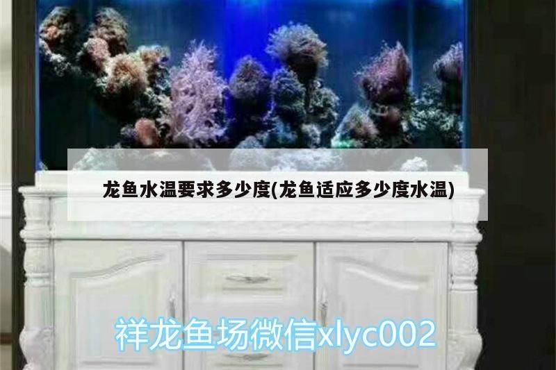 龍魚水溫要求多少度(龍魚適應多少度水溫)