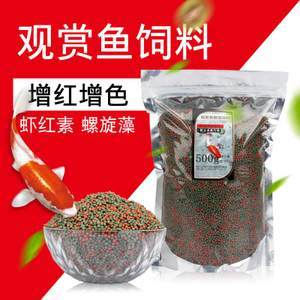 中國龍魚協會副會長名單：中國龍魚協會副會長，引領龍魚文化，推動行業前行