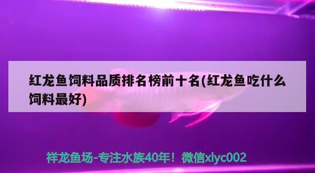 吉印魚缸燈怎么加長（吉印魚缸燈哪個系列好） 吉印魚缸燈怎么加長（吉印魚缸燈哪個系列好） 吉印水族 第3張