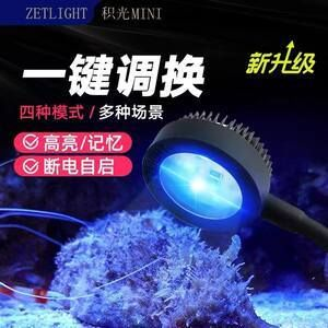 led燈魚缸能爆藻嗎？：led燈在魚缸中的應用