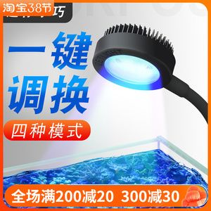 led燈魚缸能爆藻嗎？：led燈在魚缸中的應用
