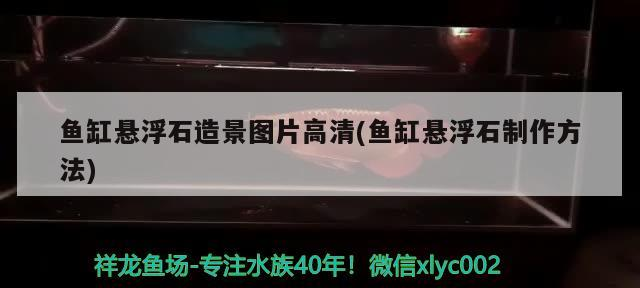 魚缸懸浮石造景圖片高清(魚缸懸浮石制作方法)