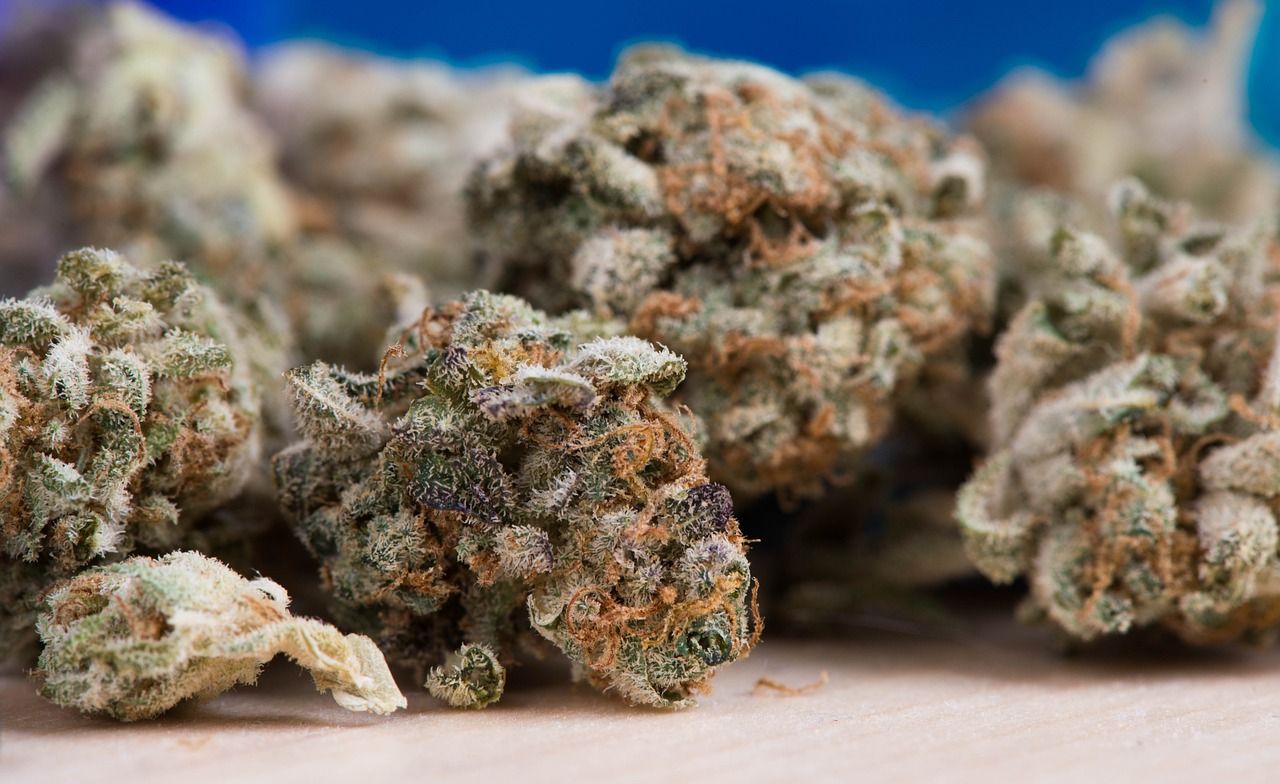 吉印刀鋒能養(yǎng)水草嗎，印吉刀鋒系列好還是青翠好