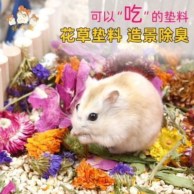 yee倉鼠木質家具躲避屋窩透明亞克力多居室小房子金絲熊造景用品：yee倉鼠木質家具躲避屋窩透明亞克力多居室小房子金絲熊造景用品產品
