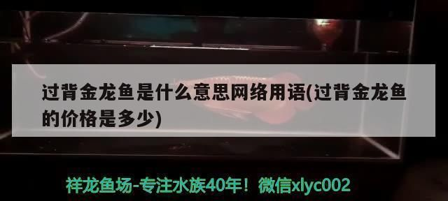 過背金龍魚是什么意思網絡用語怎么說的：“過背金龍魚”在網絡用語中并沒有特殊的含義