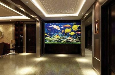 水族館店鋪裝修效果圖大全：水族館店鋪裝修效果圖