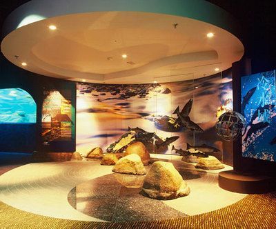水族館店鋪裝修效果圖大全：水族館店鋪裝修效果圖