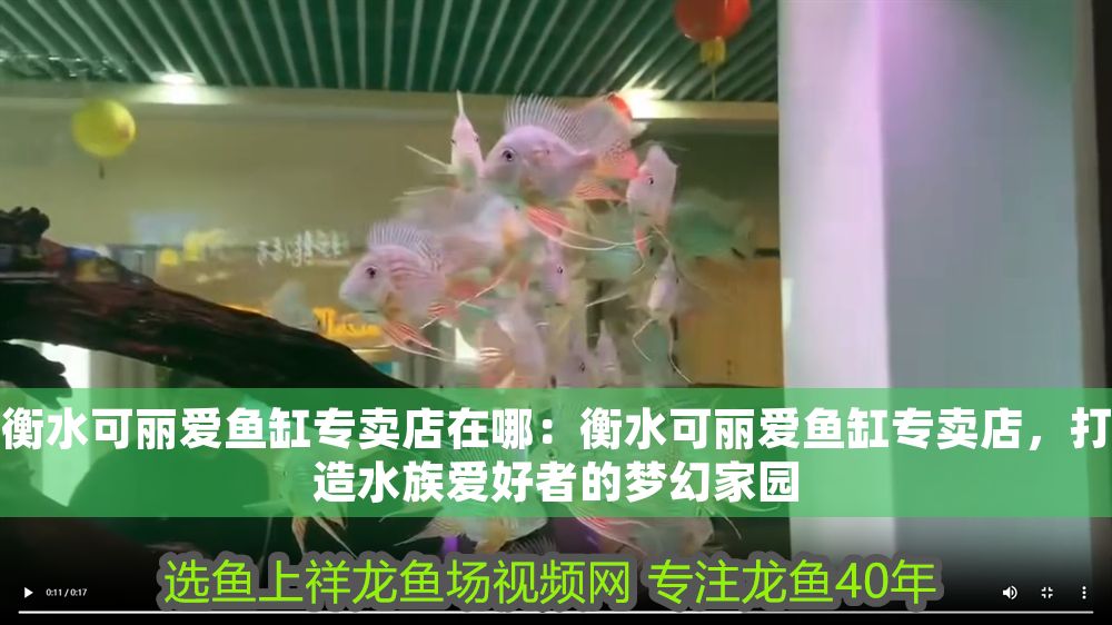 衡水可麗愛魚缸專賣店在哪：衡水可麗愛魚缸專賣店，打造水族愛好者的夢幻家園
