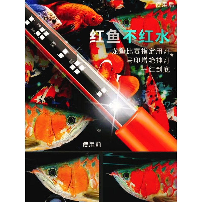 馬印原子光盒怎么樣好用嗎：馬印原子光盒怎么樣好用 馬印原子光盒怎么樣好用嗎：馬印原子光盒怎么樣好用 馬印水族 第2張