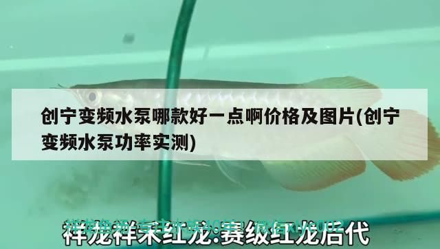創寧變頻水泵哪款好一點啊價格及圖片(創寧變頻水泵功率實測)