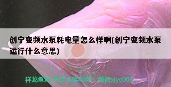 創(chuàng)寧變頻水泵耗電量怎么樣啊(創(chuàng)寧變頻水泵運(yùn)行什么意思)