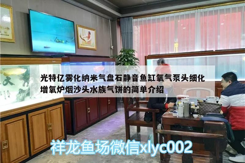 光特億霧化納米氣盤石靜音魚缸氧氣泵頭細化增氧爐煙沙頭水族氣餅的簡單介紹