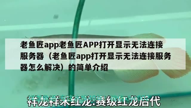 老魚匠app老魚匠APP打開顯示無法連接服務器（老魚匠app打開顯示無法連接服務器怎么解決）的簡單介紹