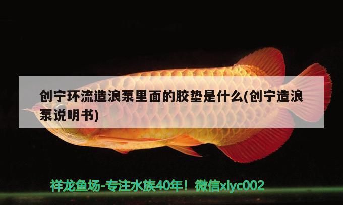 創(chuàng)寧環(huán)流造浪泵里面的膠墊是什么(創(chuàng)寧造浪泵說(shuō)明書(shū))
