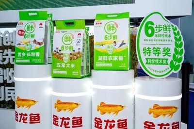 龍魚紅龍最好的品種是什么(紅龍魚的最好品種視頻)