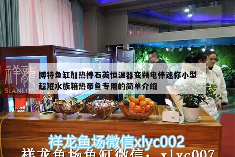 博特魚缸加熱棒石英恒溫器變頻電棒迷你小型超短水族箱熱帶魚專用的簡單介紹