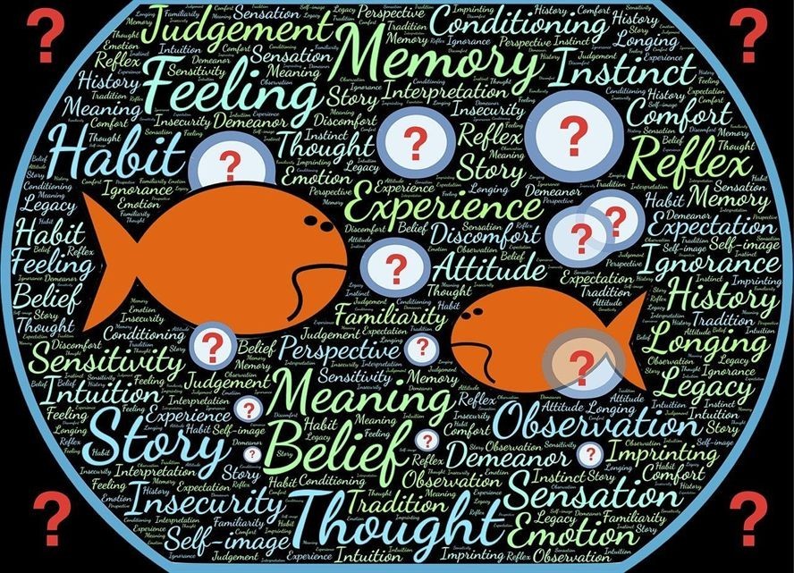 沈陽魚缸定制廠電話多少號啊 沈陽市做魚缸的廠家