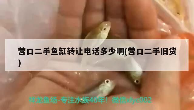 營(yíng)口二手魚缸轉(zhuǎn)讓電話多少啊(營(yíng)口二手舊貨)
