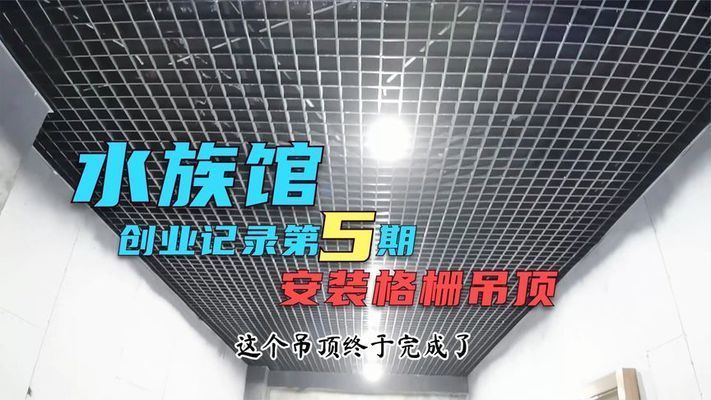 想開個水族館賺錢嗎現在還能開嗎