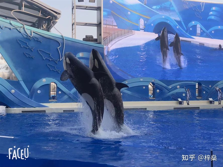 想開個水族館賺錢嗎現(xiàn)在還能開嗎