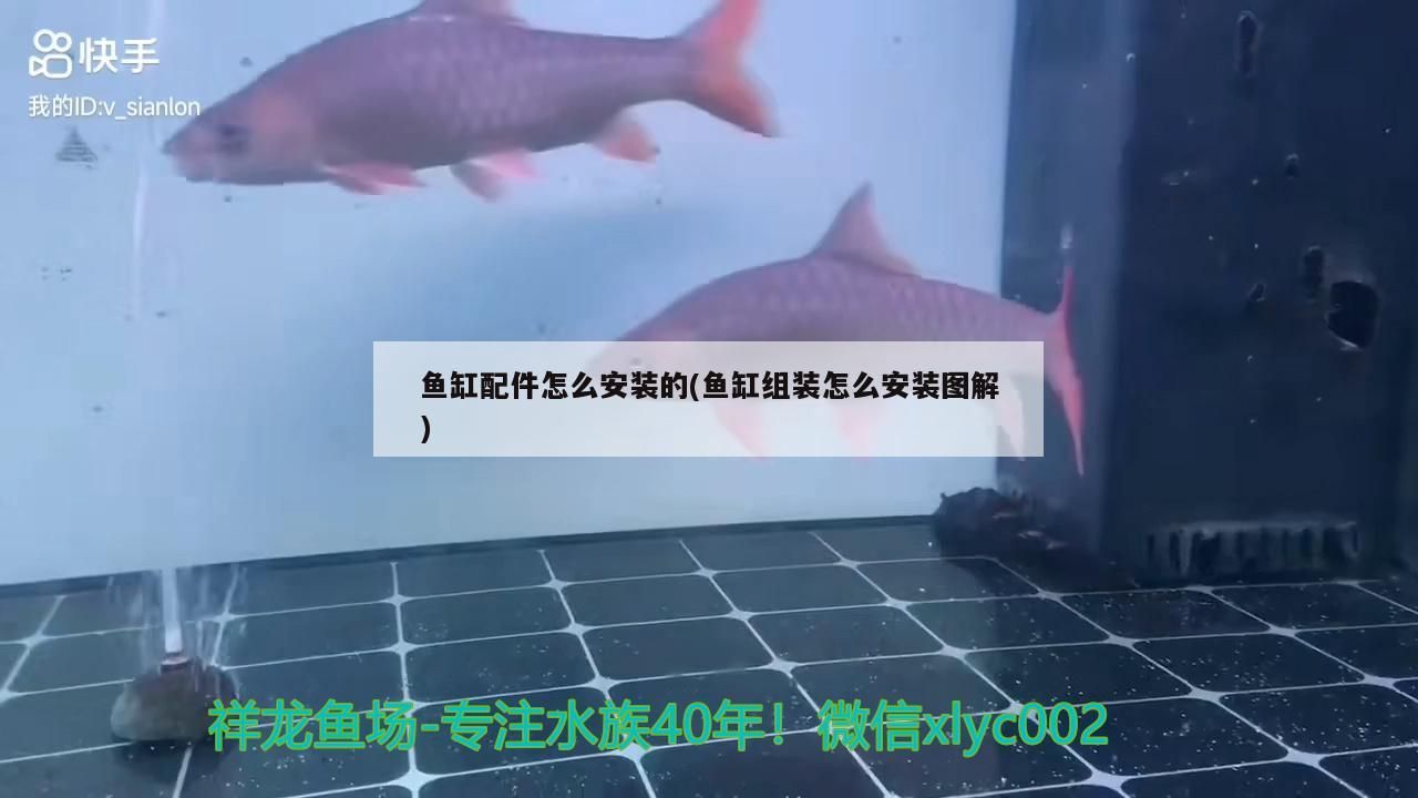 魚缸配件怎么安裝的(魚缸組裝怎么安裝圖解)