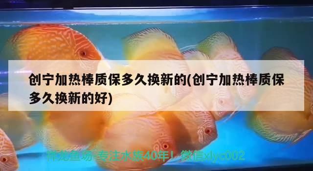 創寧加熱棒質保多久換新的(創寧加熱棒質保多久換新的好)