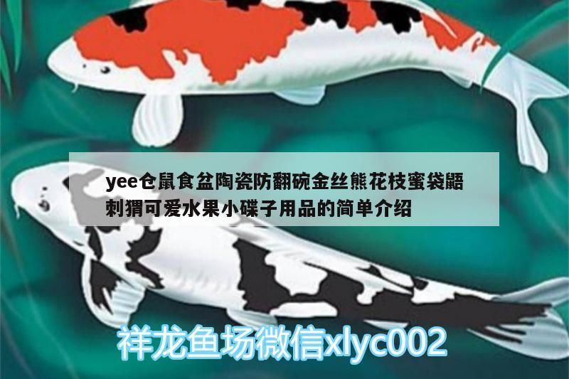 yee倉鼠食盆陶瓷防翻碗金絲熊花枝蜜袋鼯刺猬可愛水果小碟子用品的簡單介紹 yee倉鼠食盆陶瓷防翻碗金絲熊花枝蜜袋鼯刺猬可愛水果小碟子用品的簡單介紹 yee