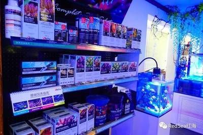 NO1水族進貨渠道（no1水族批發市場是水族店進貨的主要來源之一）