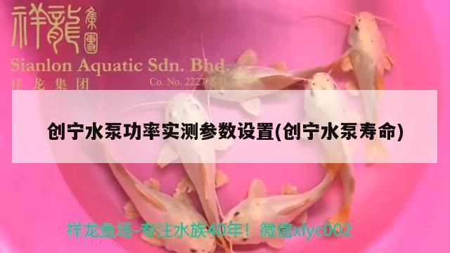 創(chuàng)寧水泵功率實測參數(shù)設置(創(chuàng)寧水泵壽命)